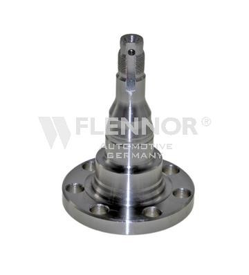 Flennor FRW090034 Wheel hub FRW090034: Buy near me at 2407.PL in Poland at an Affordable price!