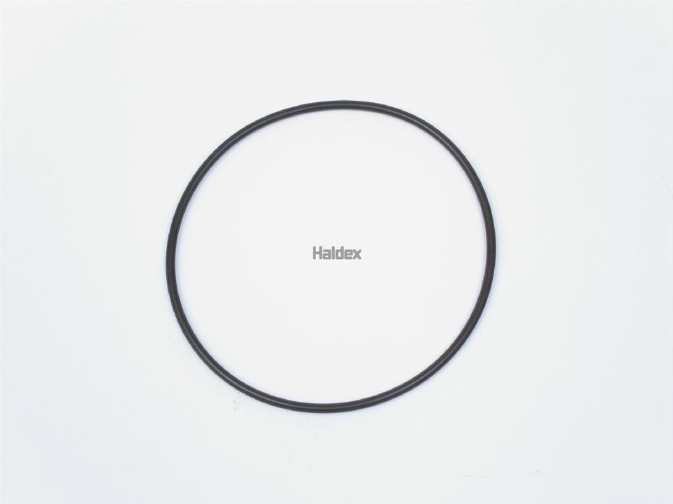 Haldex 024006909 O-Ring, cylinder sleeve 024006909: Buy near me at 2407.PL in Poland at an Affordable price!