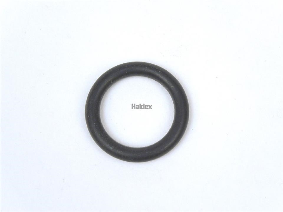 Haldex 024027609/10 O-Ring, cylinder sleeve 02402760910: Buy near me in Poland at 2407.PL - Good price!