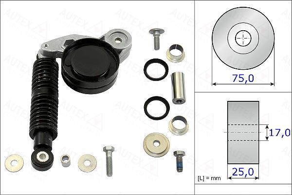 Autex 654867 Belt tensioner repair kit 654867: Buy near me in Poland at 2407.PL - Good price!