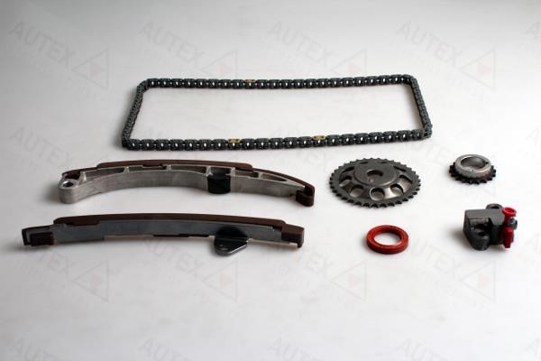 Autex 711041 Timing chain kit 711041: Buy near me in Poland at 2407.PL - Good price!