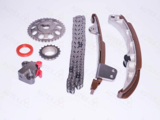 Autex 711043 Timing chain kit 711043: Buy near me in Poland at 2407.PL - Good price!