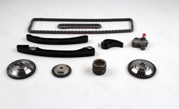 Autex 711051 Timing chain kit 711051: Buy near me in Poland at 2407.PL - Good price!