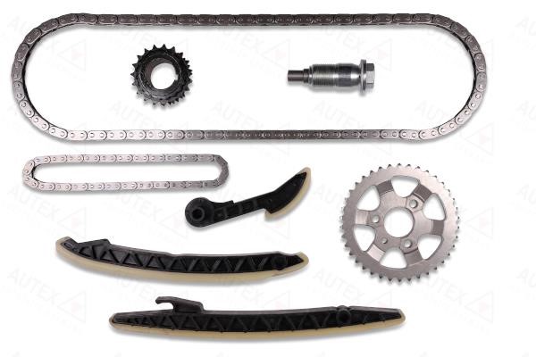 Autex 711055 Timing chain kit 711055: Buy near me in Poland at 2407.PL - Good price!
