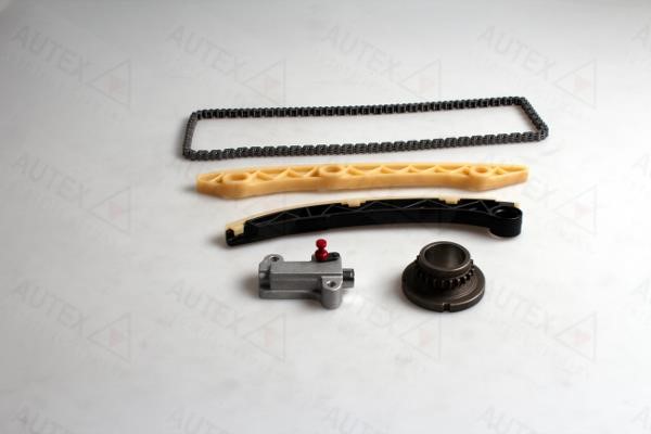 Autex 711061 Timing chain kit 711061: Buy near me in Poland at 2407.PL - Good price!