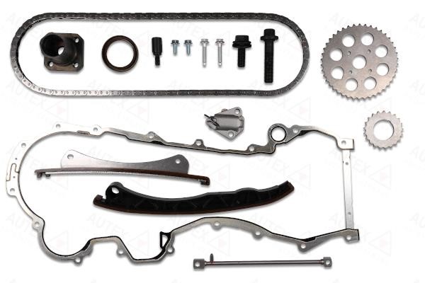 Autex 711067 Timing chain kit 711067: Buy near me in Poland at 2407.PL - Good price!