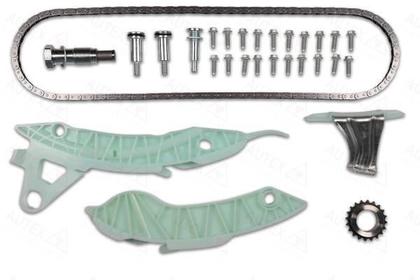 Autex 711069 Timing chain kit 711069: Buy near me in Poland at 2407.PL - Good price!