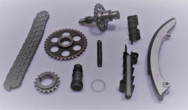 Autex 711095 Timing chain kit 711095: Buy near me in Poland at 2407.PL - Good price!