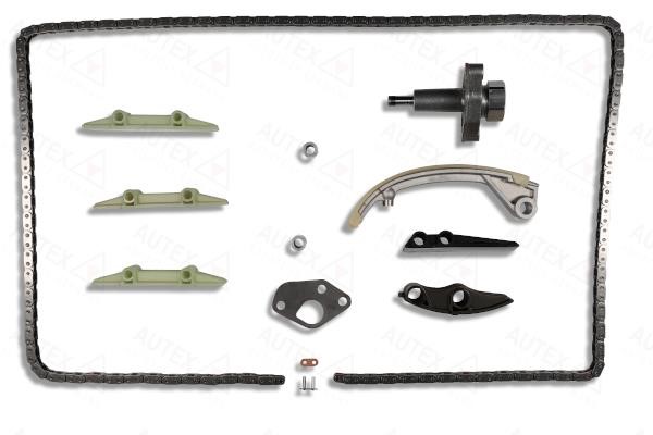 Autex 711103 Timing chain kit 711103: Buy near me in Poland at 2407.PL - Good price!