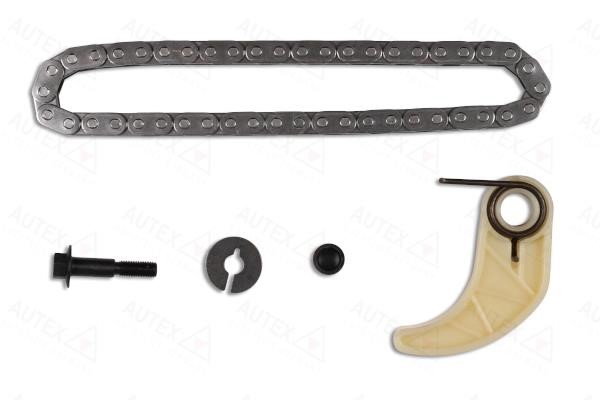 Autex 711119 Timing chain kit 711119: Buy near me in Poland at 2407.PL - Good price!