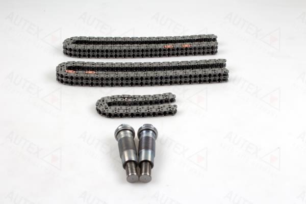 Autex 711133 Timing chain kit 711133: Buy near me in Poland at 2407.PL - Good price!