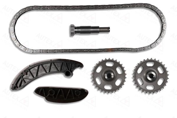 Autex 711169 Timing chain kit 711169: Buy near me in Poland at 2407.PL - Good price!