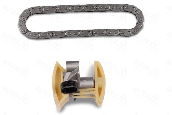 Autex 711177 Timing chain kit 711177: Buy near me in Poland at 2407.PL - Good price!