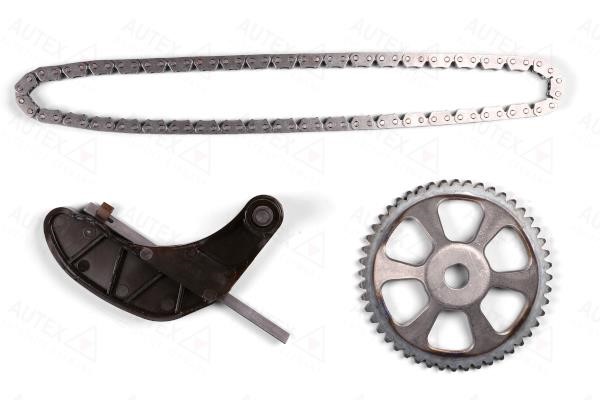 Autex 711247 Timing chain kit 711247: Buy near me in Poland at 2407.PL - Good price!