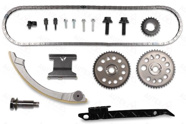 Autex 711189 Timing chain kit 711189: Buy near me in Poland at 2407.PL - Good price!