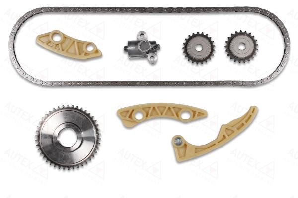 Autex 711193 Timing chain kit 711193: Buy near me in Poland at 2407.PL - Good price!