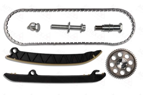 Autex 711367 Timing chain kit 711367: Buy near me in Poland at 2407.PL - Good price!