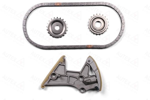 Autex 711369 CHAIN OIL PUMP 711369: Buy near me at 2407.PL in Poland at an Affordable price!