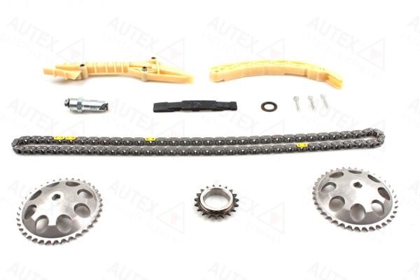 Autex 711468 Timing chain kit 711468: Buy near me in Poland at 2407.PL - Good price!