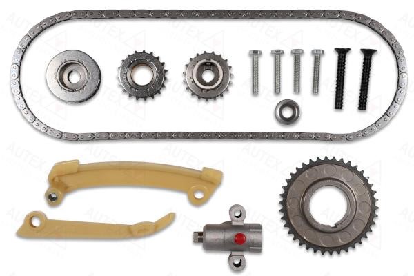 Autex 711469 Timing chain kit 711469: Buy near me at 2407.PL in Poland at an Affordable price!