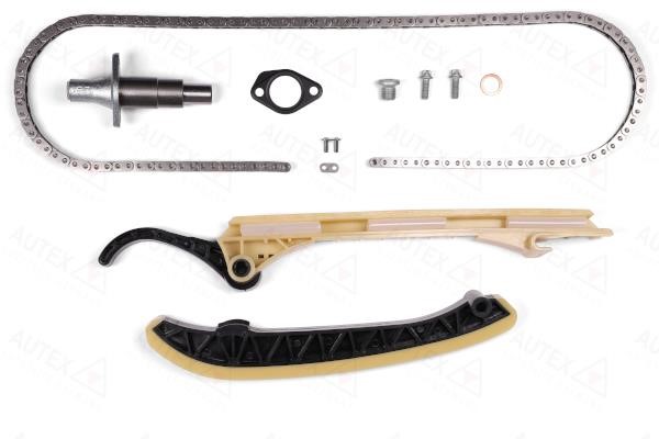 Autex 711299 Timing chain kit 711299: Buy near me in Poland at 2407.PL - Good price!
