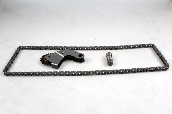 Autex 711312 Timing chain kit 711312: Buy near me in Poland at 2407.PL - Good price!