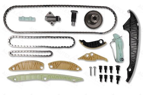 Autex 711313 Timing chain kit 711313: Buy near me in Poland at 2407.PL - Good price!