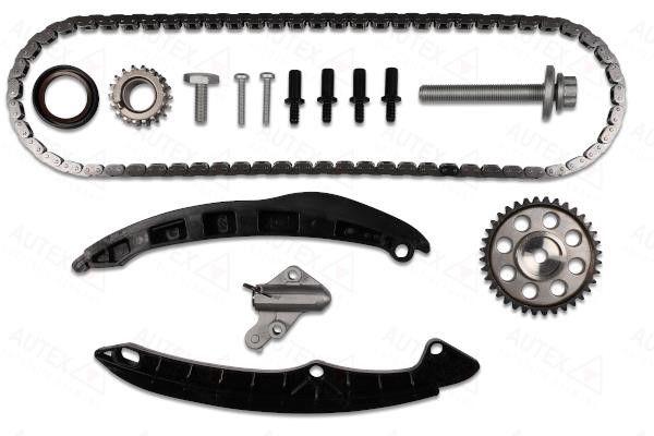 Autex 711387 Timing chain kit 711387: Buy near me in Poland at 2407.PL - Good price!