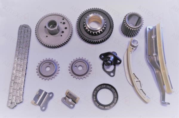 Autex 711390 Timing chain kit 711390: Buy near me in Poland at 2407.PL - Good price!