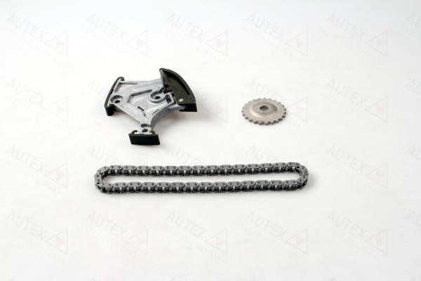 Autex 711509 CHAIN OIL PUMP 711509: Buy near me in Poland at 2407.PL - Good price!