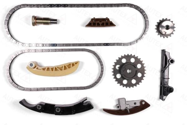 Autex 711325 Timing chain kit 711325: Buy near me in Poland at 2407.PL - Good price!