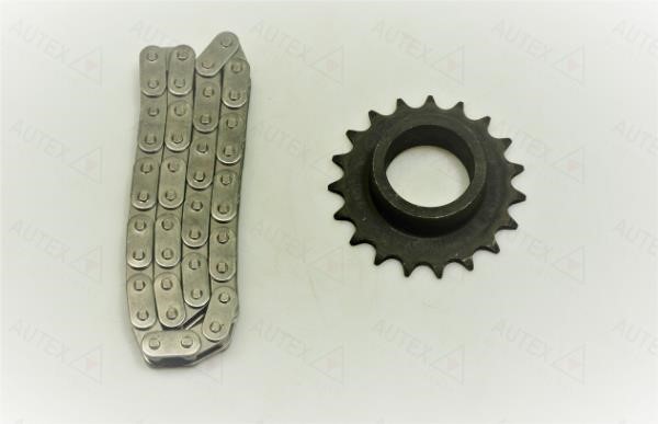 Autex 711515 Timing chain kit 711515: Buy near me in Poland at 2407.PL - Good price!