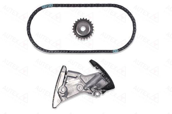 Autex 711516 CHAIN OIL PUMP 711516: Buy near me in Poland at 2407.PL - Good price!