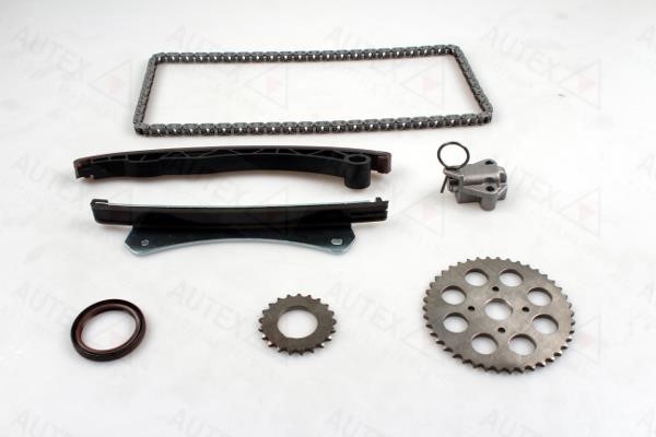 Autex 711340 Timing chain kit 711340: Buy near me in Poland at 2407.PL - Good price!