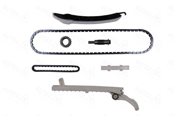 Autex 711584 Timing chain kit 711584: Buy near me in Poland at 2407.PL - Good price!