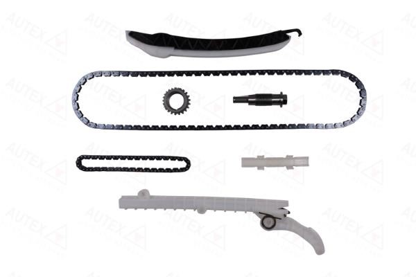 Autex 711592 Timing chain kit 711592: Buy near me at 2407.PL in Poland at an Affordable price!