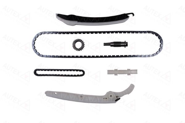 Autex 711593 Timing chain kit 711593: Buy near me in Poland at 2407.PL - Good price!