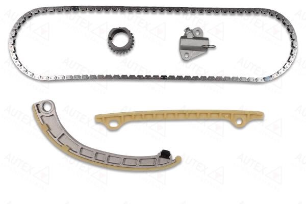 Autex 711447 Timing chain kit 711447: Buy near me in Poland at 2407.PL - Good price!