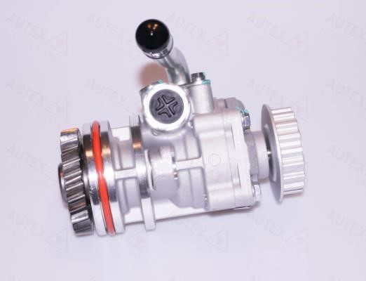 Autex 863179 Hydraulic Pump, steering system 863179: Buy near me in Poland at 2407.PL - Good price!