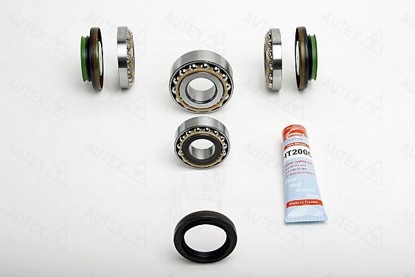 Autex 957029 Differential repair kit 957029: Buy near me at 2407.PL in Poland at an Affordable price!
