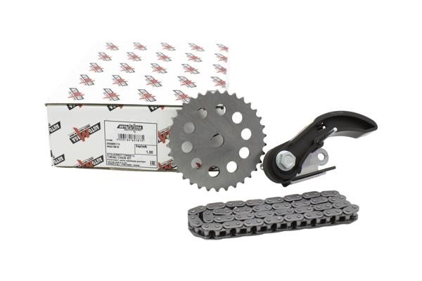 AutoMega 250965110 Timing chain kit 250965110: Buy near me in Poland at 2407.PL - Good price!