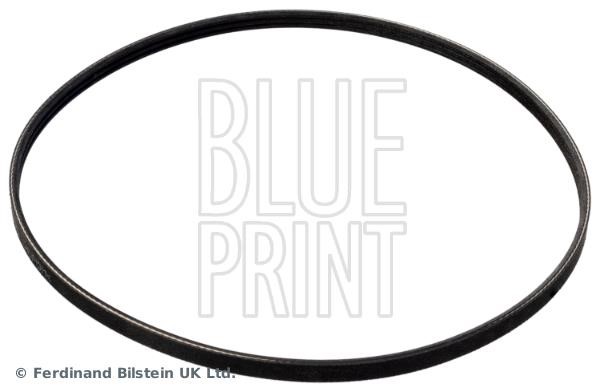Blue Print AD03R872 V-Ribbed Belt AD03R872: Buy near me in Poland at 2407.PL - Good price!
