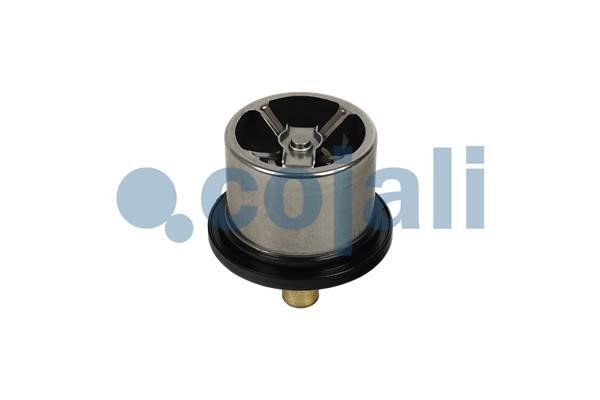 Cojali 2880275 Thermostat, coolant 2880275: Buy near me in Poland at 2407.PL - Good price!