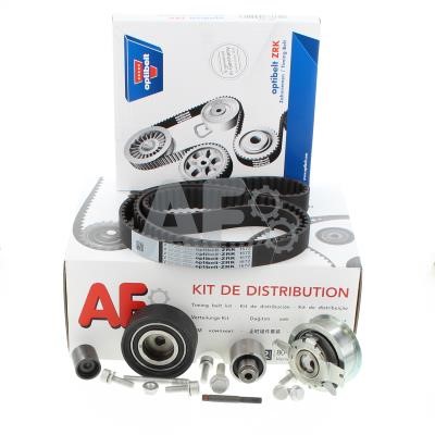 Automotor France PTK1010 Timing Belt Kit PTK1010: Buy near me at 2407.PL in Poland at an Affordable price!