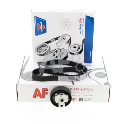 Automotor France PTK1013 Timing Belt Kit PTK1013: Buy near me at 2407.PL in Poland at an Affordable price!