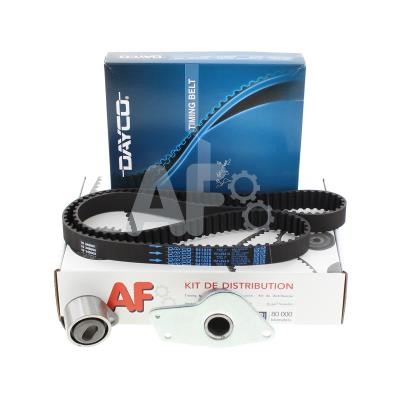Automotor France PTK1089 Timing Belt Kit PTK1089: Buy near me at 2407.PL in Poland at an Affordable price!