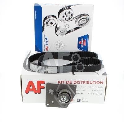 Automotor France PTK7048 Timing Belt Kit PTK7048: Buy near me in Poland at 2407.PL - Good price!