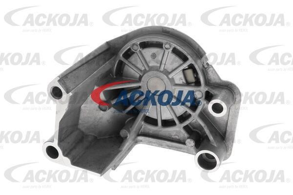 Купити Ackoja A70-0675 за низькою ціною в Польщі!