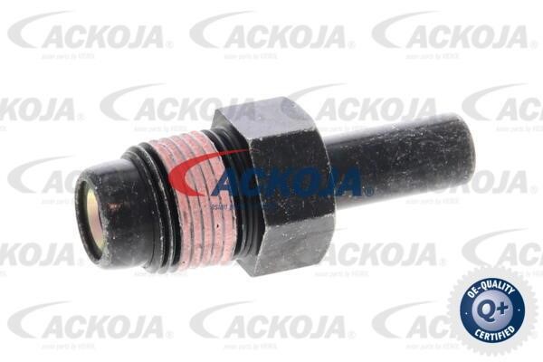 Ackoja A70-0800 Valve, engine block breather A700800: Buy near me in Poland at 2407.PL - Good price!