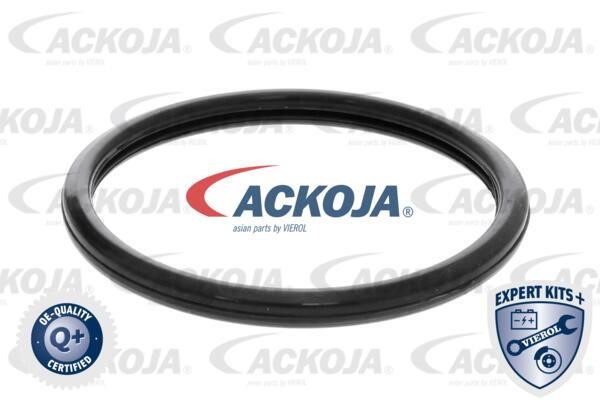 Kaufen Sie Ackoja A70-99-0003 zu einem günstigen Preis in Polen!